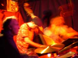 The Two Bass Band